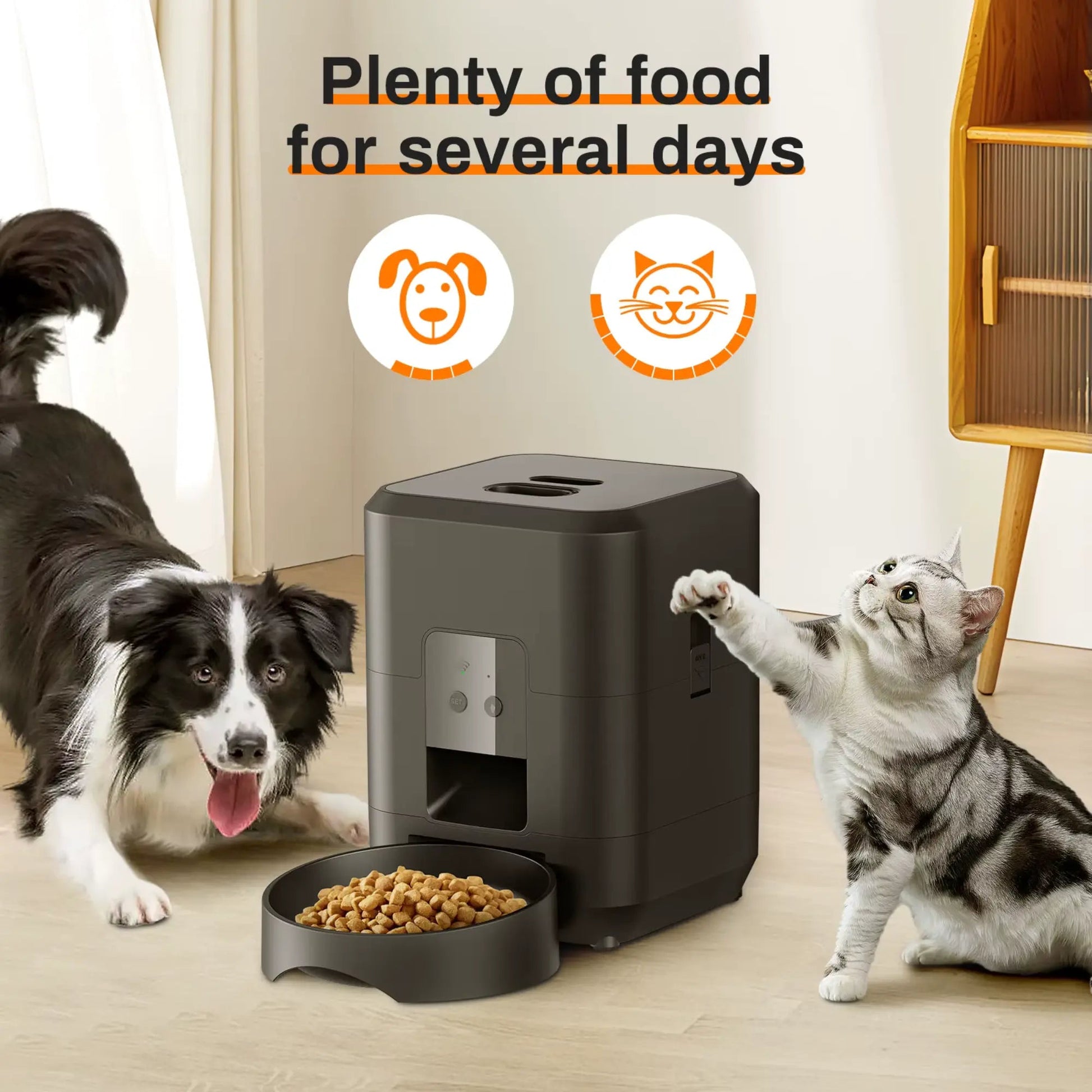 Automatic Pet Feeder with App Control – Veliqo PF2 - Veliqo