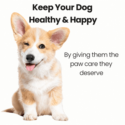 Grooming Kit - Veliqo