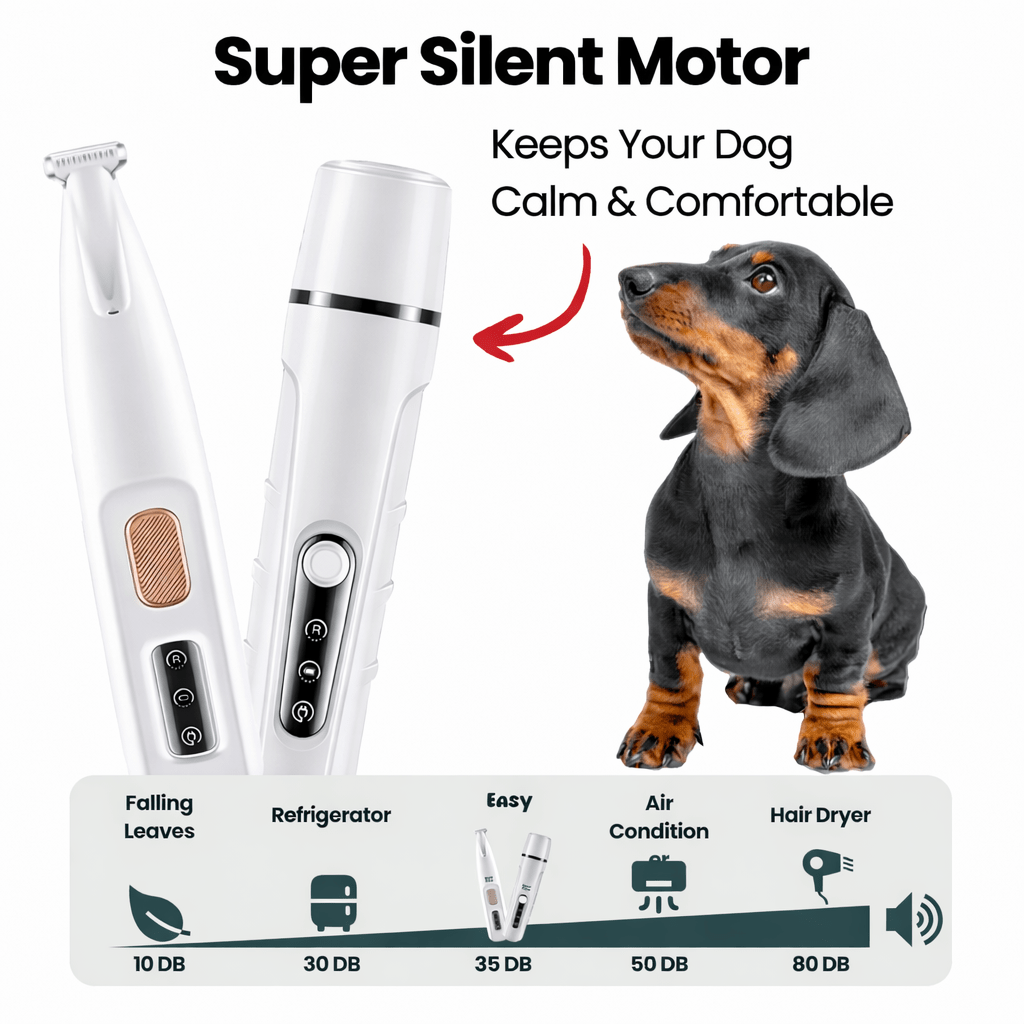 Grooming Kit - Veliqo