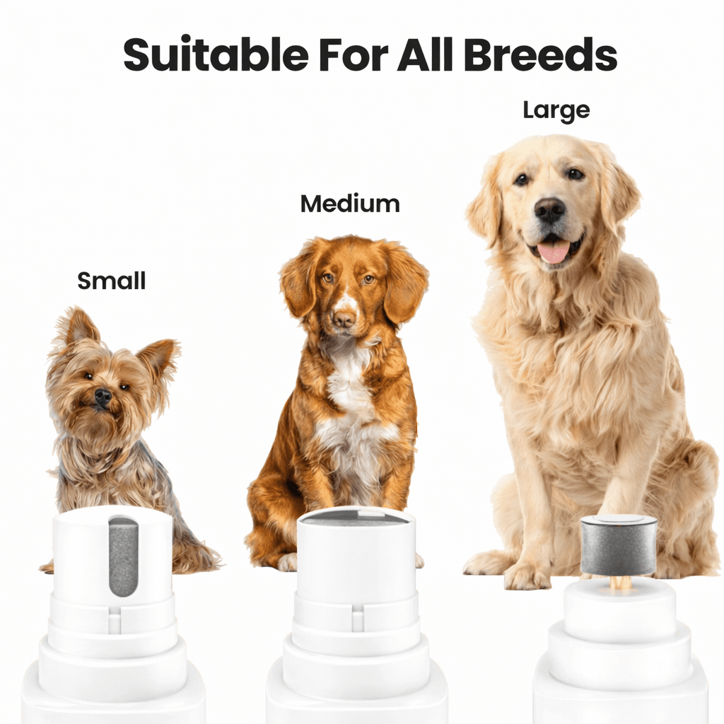 Grooming Kit - Veliqo