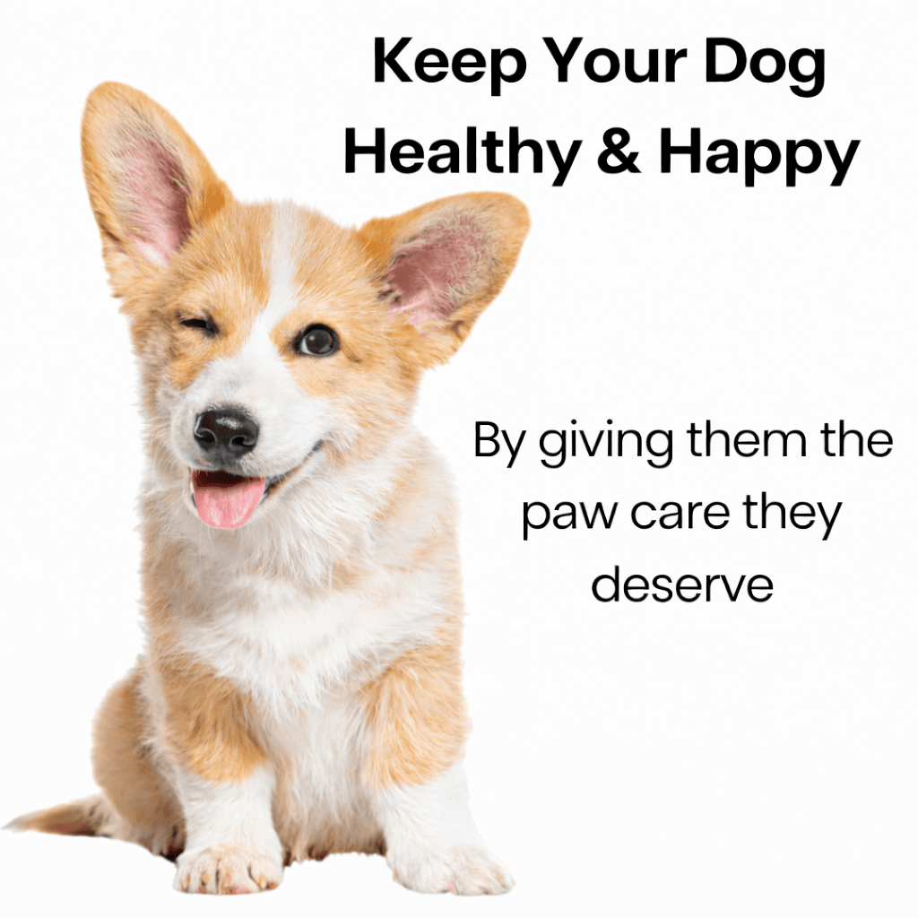 Grooming Trimmer - Veliqo