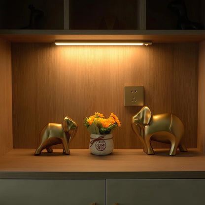 Motion Sensor LED Bar – Motion - Activated Light Strip (Battery or USB) - Veliqo