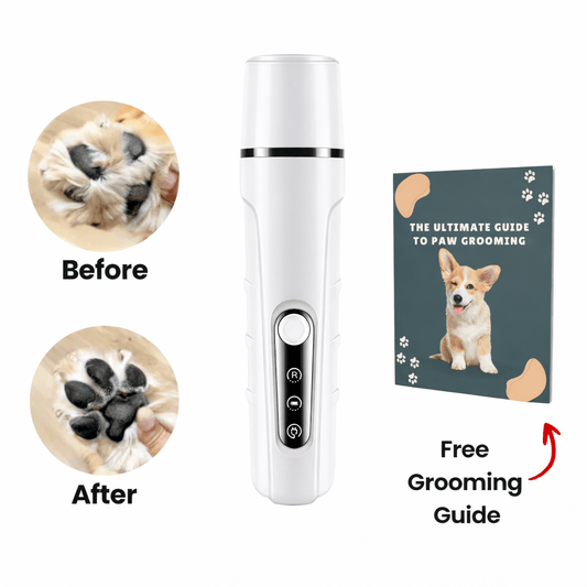 Nail Grinder - Veliqo