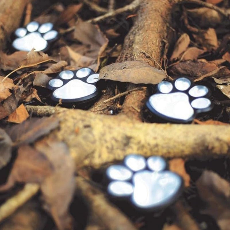 Outdoor Pawprint Lamps | Solar Powered Pet Light for Garden - Veliqo