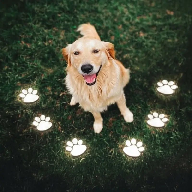 Outdoor Pawprint Lamps | Solar Powered Pet Light for Garden - Veliqo